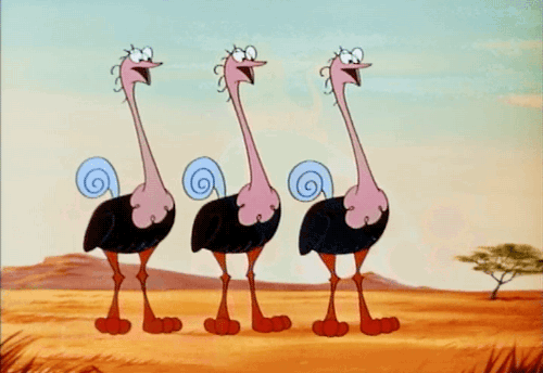 ostrich_strategy